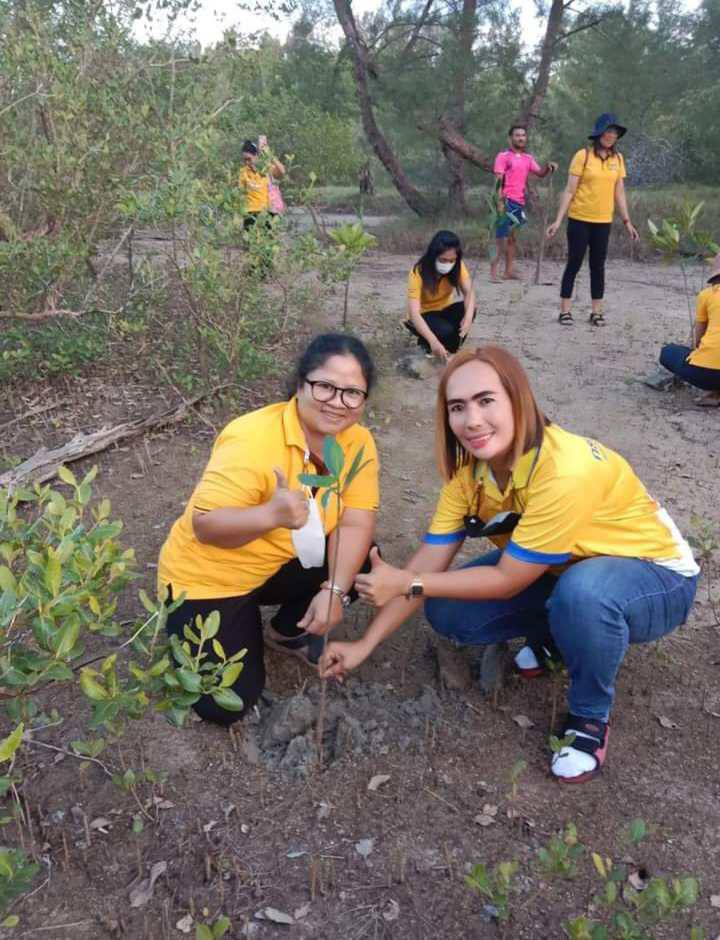 Mangrove restorlation