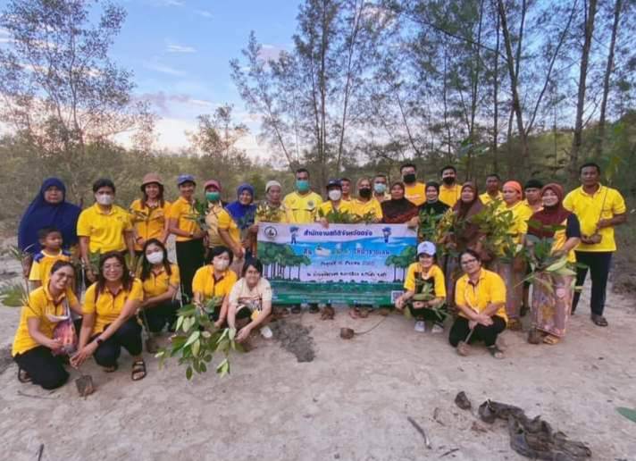 Mangrove restorlation