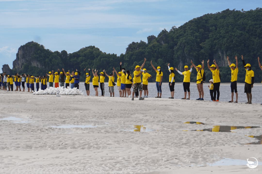 Seagrass Restoration