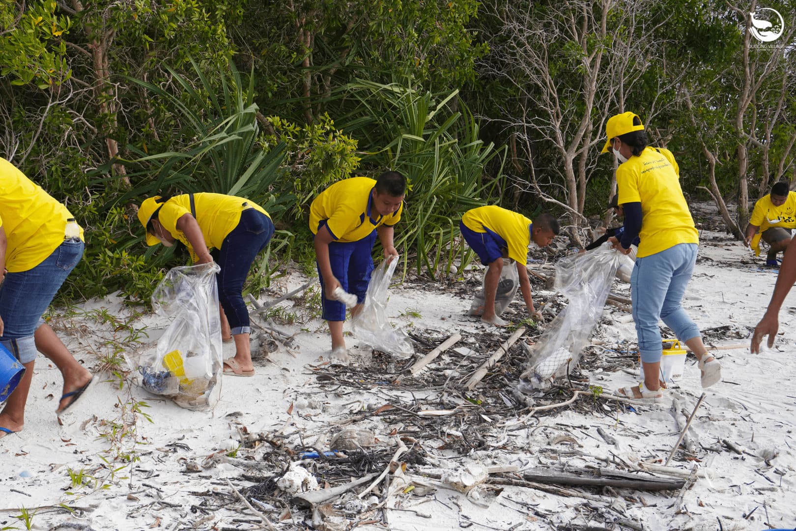 Seagrass Restoration