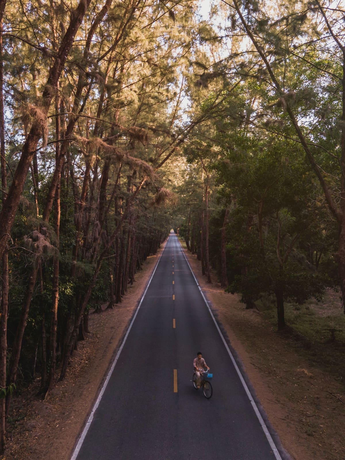 Village Bike Tour